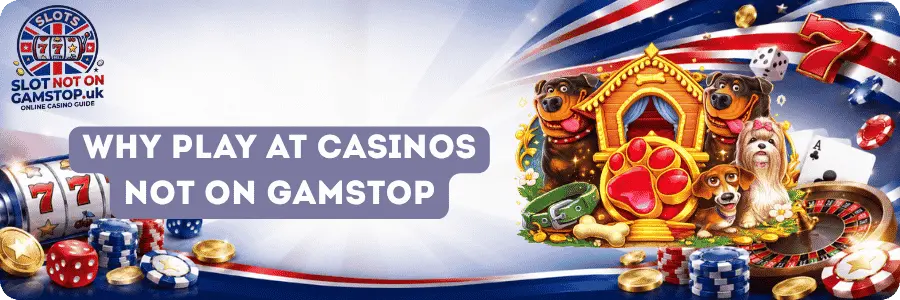 Why Play The Dog House at Casinos Not on GamStop