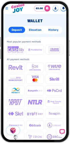 Deposit page payment methods for playing Book of Dead slot